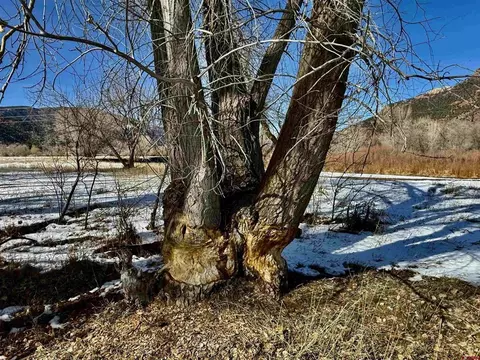 Other - Undisclosed, Durango, CO 81301 photo 18 of 20