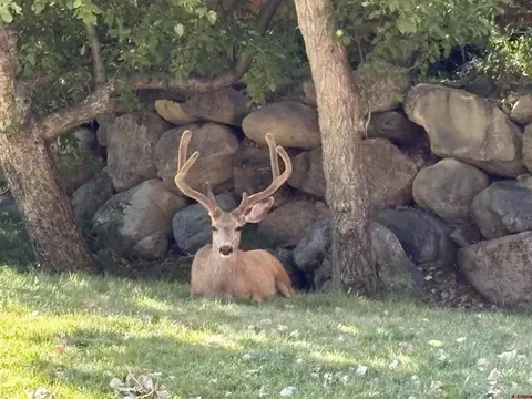 Other - Undisclosed, Durango, CO 81301 photo 6 of 20