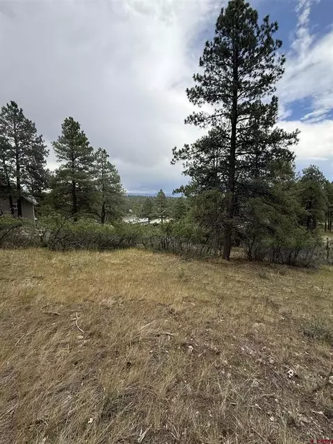 821 Aspenglow Blvd, Pagosa Springs, CO 81147