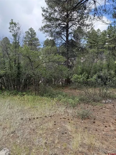 821 Aspenglow Blvd, Pagosa Springs, CO 81147