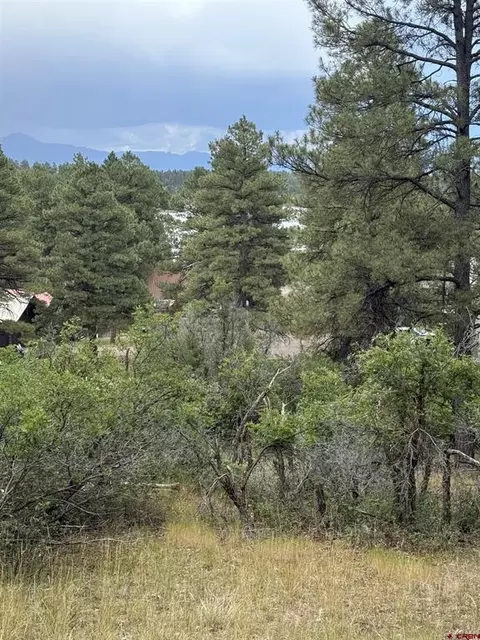 821 Aspenglow Blvd, Pagosa Springs, CO 81147