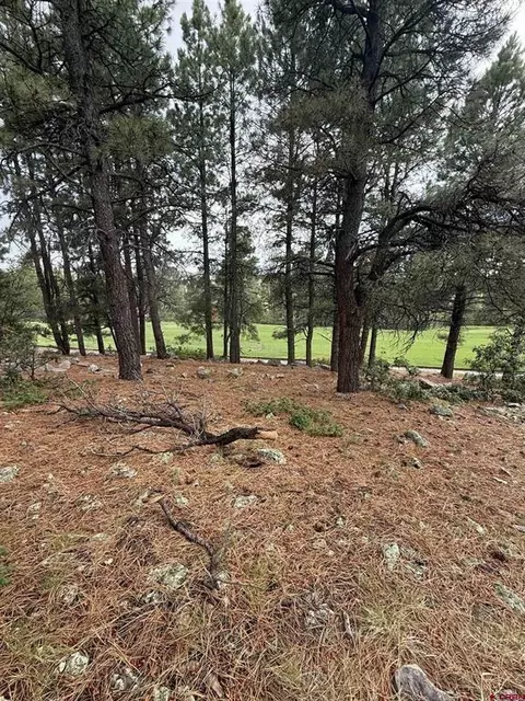 94 W Golf Pl, Pagosa Springs, CO 81147