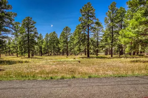 86 Hackamore Pl, Pagosa Springs, CO 81147