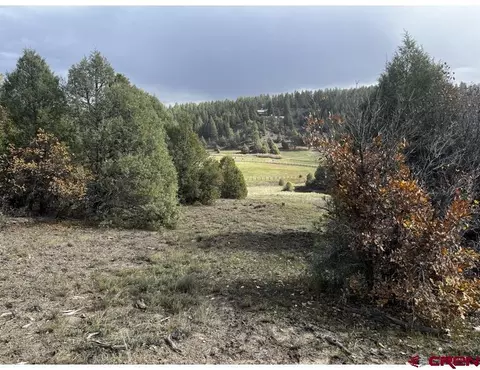 64 Bradley Pl, Pagosa Springs, CO 81147