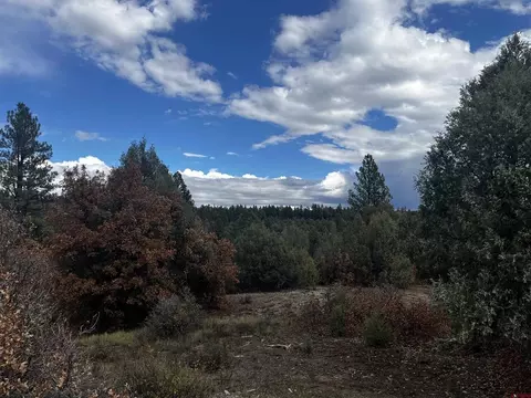 1146 Harvard Ave, Pagosa Springs, CO 81147