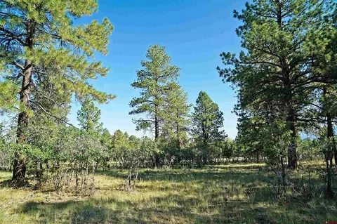 1325 Marmot Dr, Ridgway, CO 81432