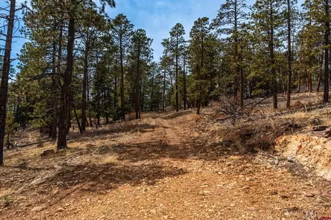lot15 Taylor Ranch Rd, Durango, CO 81301 photo 18