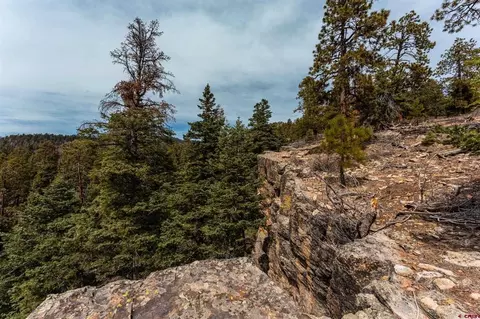 lot15 Taylor Ranch Rd, Durango, CO 81301 photo 16