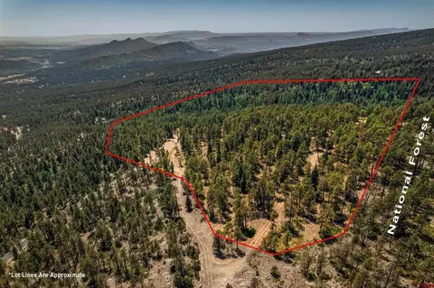 lot15 Taylor Ranch Rd, Durango, CO 81301 photo 10