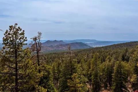 lot15 Taylor Ranch Rd, Durango, CO 81301 photo 17