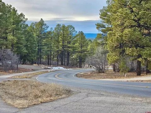 458 Antelope Ave, Pagosa Springs, CO 81147