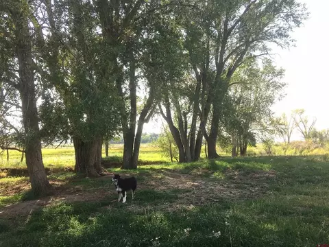 Unassigned County Road Y43, Norwood, CO 81423