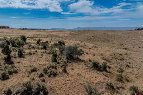 29373 Hwy 184, Dolores, CO 81323