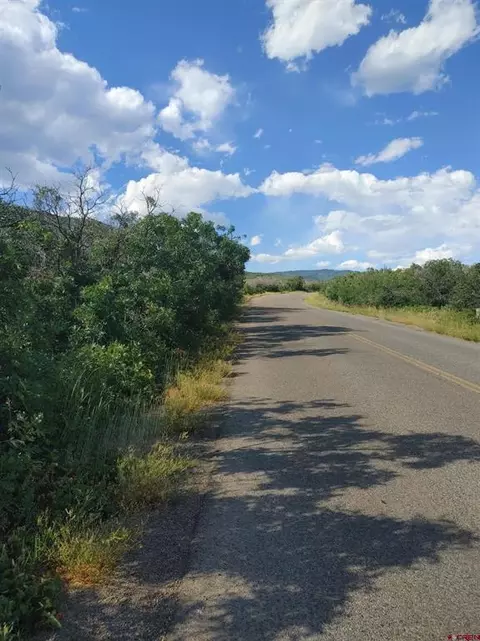 21501 Surface Creek Rd, Cedaredge, CO 81413