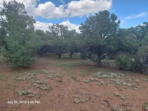 201 And 225 Sunrise Rd, South Fork, CO 81154