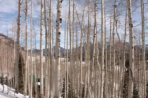 577 Falcon Ridge Rd, Durango, CO 81301 photo 27