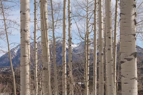 577 Falcon Ridge Rd, Durango, CO 81301 photo 25
