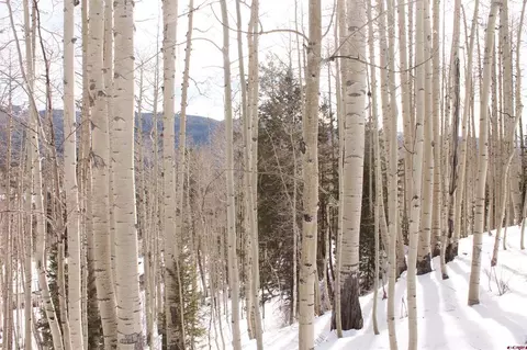 577 Falcon Ridge Rd, Durango, CO 81301 photo 34
