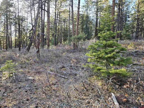73 Snow Way Dr, Bayfield, CO 81122