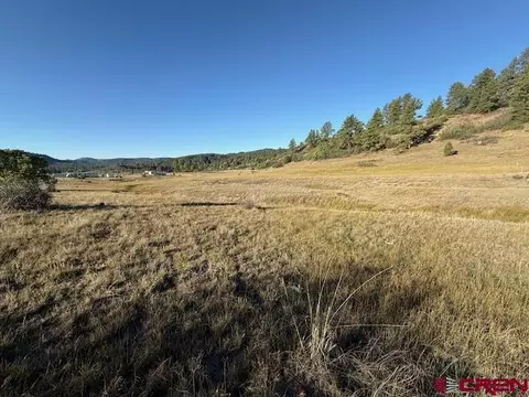 980 Catchpole Dr, Pagosa Springs, CO 81147
