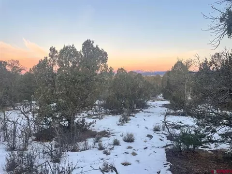 232 Rawhide Rd, Durango, CO 81303 photo 20