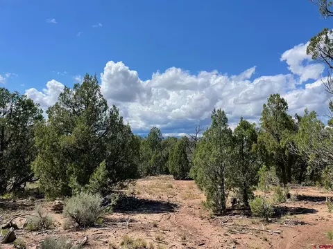 232 Rawhide Rd, Durango, CO 81303 photo 2