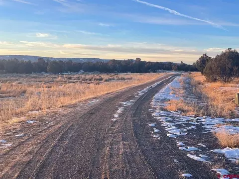 232 Rawhide Rd, Durango, CO 81303 photo 30