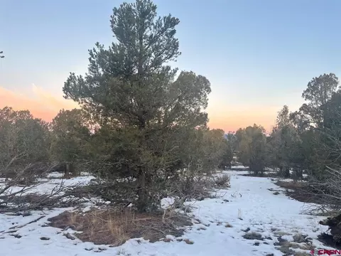 232 Rawhide Rd, Durango, CO 81303 photo 17