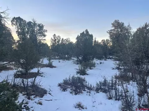 232 Rawhide Rd, Durango, CO 81303 photo 25