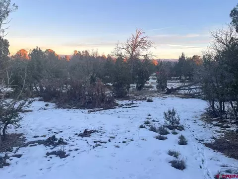 232 Rawhide Rd, Durango, CO 81303 photo 26