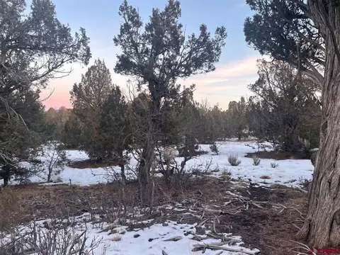 232 Rawhide Rd, Durango, CO 81303 photo 15