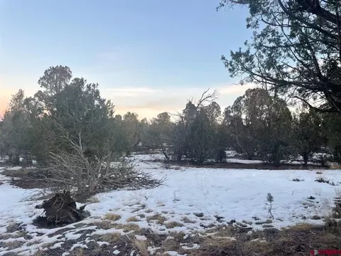 232 Rawhide Rd, Durango, CO 81303 photo 18