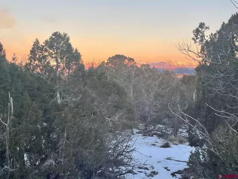 232 Rawhide Rd, Durango, CO 81303 photo 23
