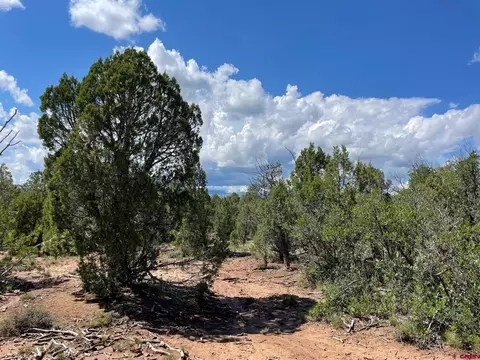 232 Rawhide Rd, Durango, CO 81303 photo 6