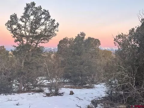 232 Rawhide Rd, Durango, CO 81303 photo 16