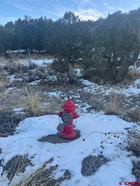 232 Rawhide Rd, Durango, CO 81303 photo 11