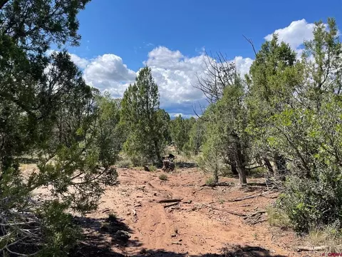 232 Rawhide Rd, Durango, CO 81303 photo 3