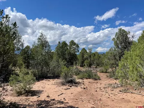 232 Rawhide Rd, Durango, CO 81303 photo 5