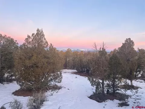 232 Rawhide Rd, Durango, CO 81303 photo 7