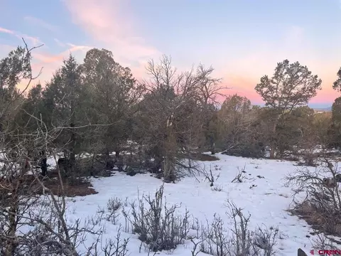 232 Rawhide Rd, Durango, CO 81303 photo 14