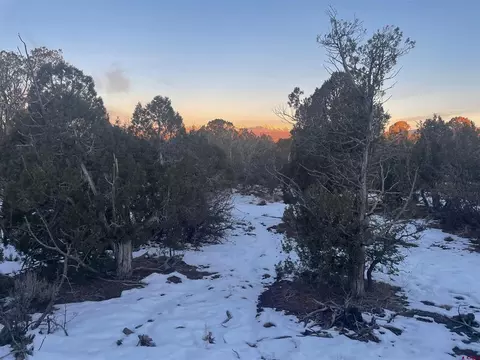 232 Rawhide Rd, Durango, CO 81303 photo 29