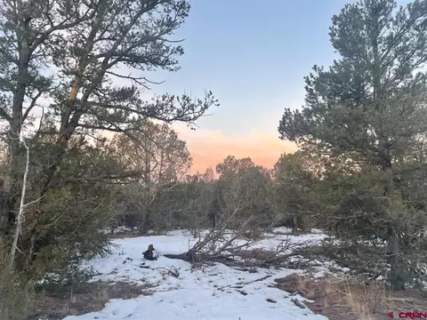 232 Rawhide Rd, Durango, CO 81303 photo 19