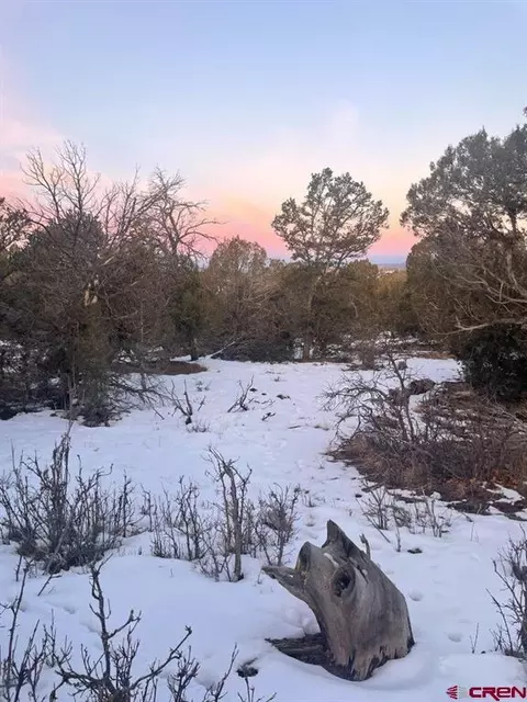 232 Rawhide Rd, Durango, CO 81303 photo 12