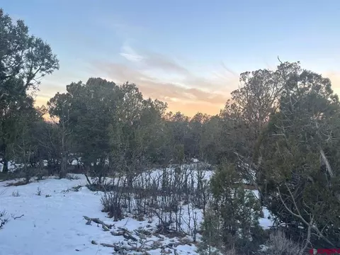 232 Rawhide Rd, Durango, CO 81303 photo 24