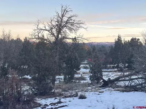 232 Rawhide Rd, Durango, CO 81303 photo 22