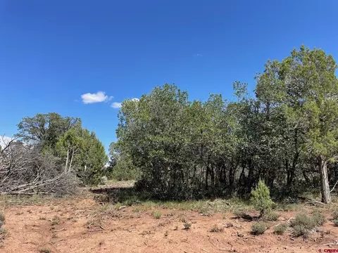 232 Rawhide Rd, Durango, CO 81303 photo 9