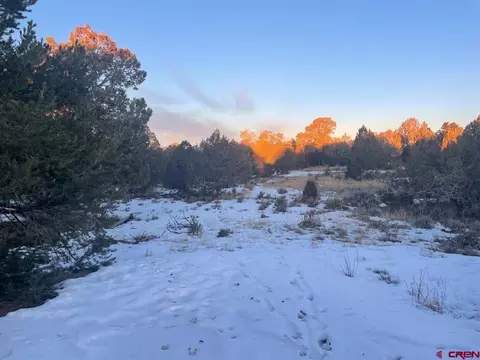 232 Rawhide Rd, Durango, CO 81303 photo 27