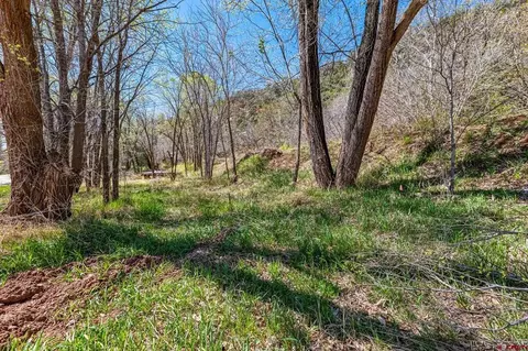 4343 County Road 203, Durango, CO 81301 photo 3