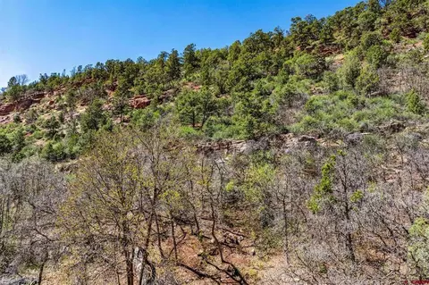 4343 County Road 203, Durango, CO 81301 photo 23