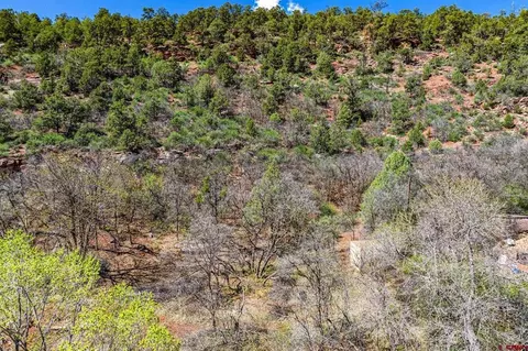 4343 County Road 203, Durango, CO 81301 photo 18